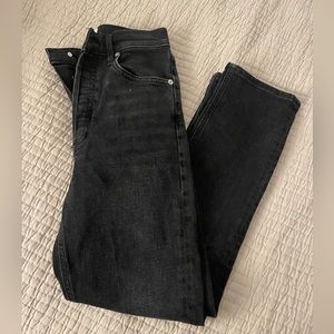 AGOLDE Riley High Rise Straight Crop in Panoramic